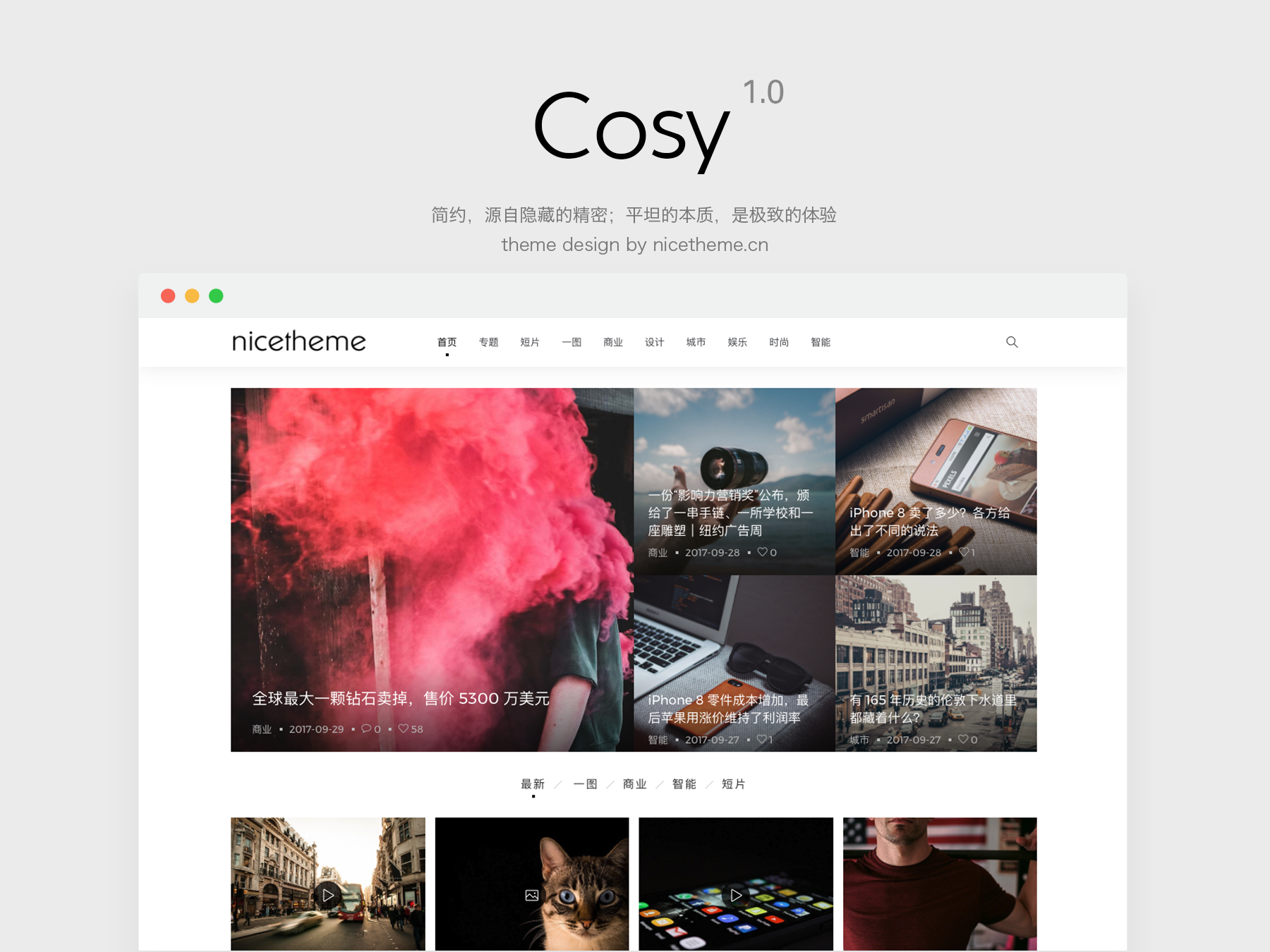 Cosy主题 价值699元的wordpress主题