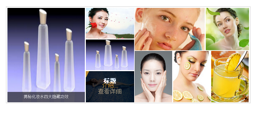 实用图片悬停悬浮展示文字JS特效代码