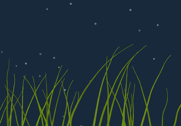html5 canvas海底水草动画特效