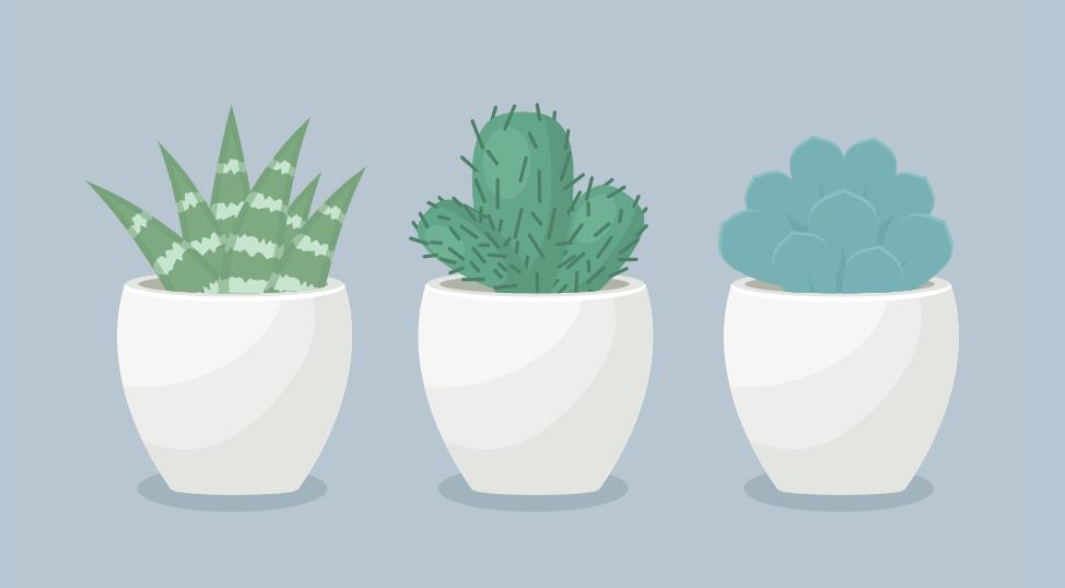 html5 svg绘制盆栽植物动画特效