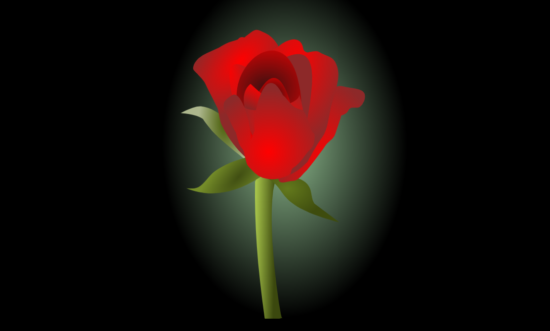 html5 svg玫瑰花盛开动画特效