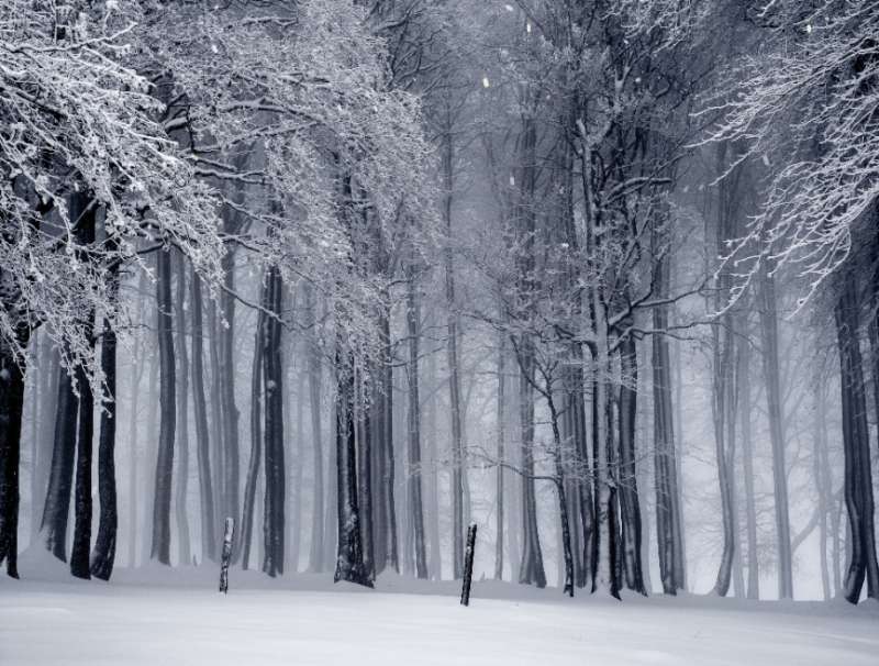 逼真canvas下雪场景动画特效