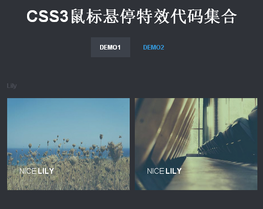 30个纯CSS3鼠标悬停动画特效代码下载