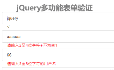 多功能表单验证