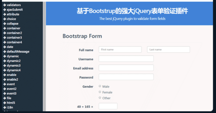 表单验证插件bootstrap from validation