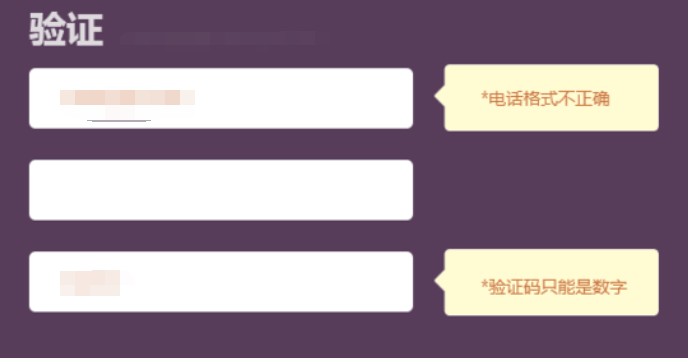 jquery正则表单验证