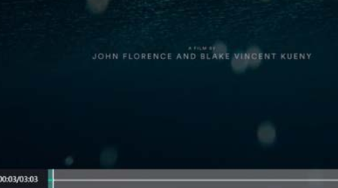 html5的视频播放器
