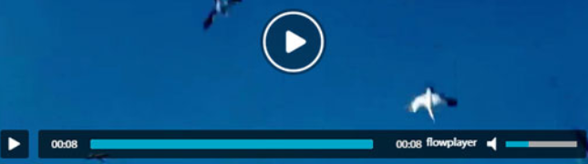 Flowplayer视频播放插件